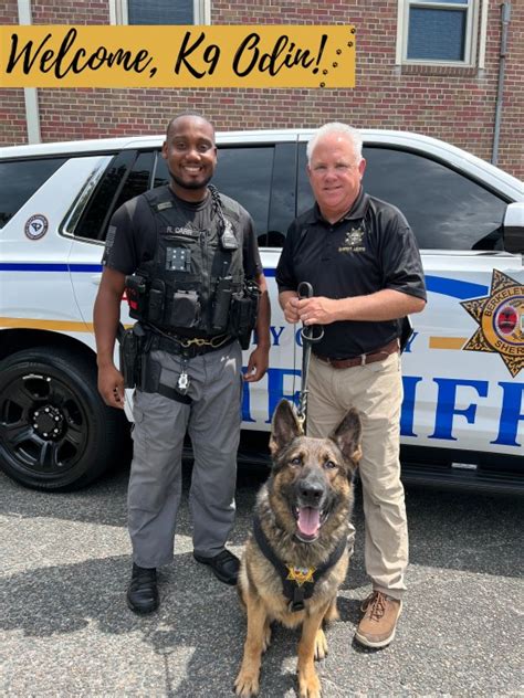 Berkeley County Sheriff's Office welcomes new K-9 | WCBD News 2