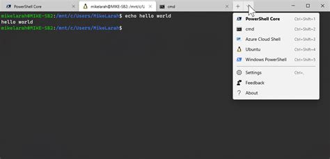 Visual Studio Code Terminal Window 的图像结果