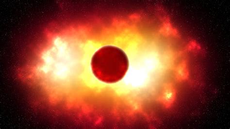 Exploding Toads Video 的图像结果