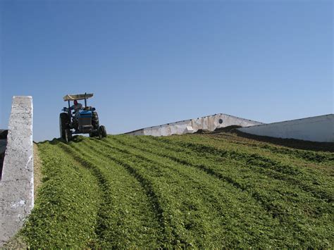 Artículos Técnicos - Rock River Lab México