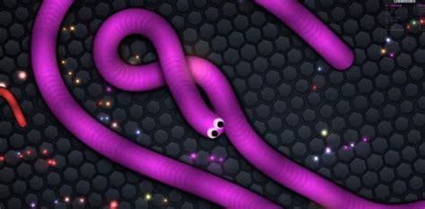 Slither.io Bot Mod 的图像结果