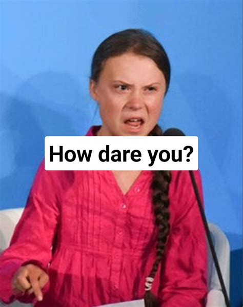 Greta Thunberg how dare you Meme Generator - Piñata Farms - The best ...
