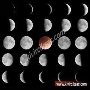 Ay Takvimine Göre Saç Kesimi I Kıvırcık Saç Farkıyla