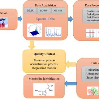 Image result for Metabolomics Tutorial