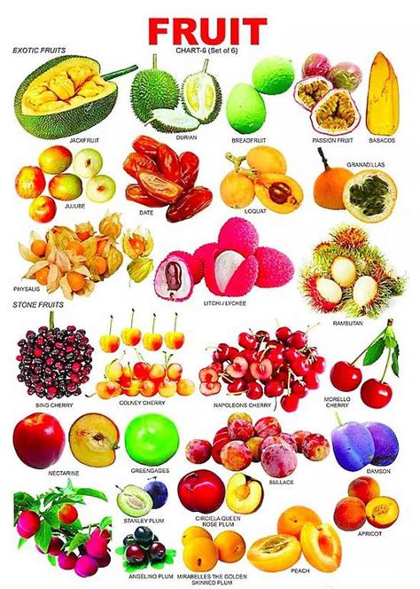 最常见的100种水果,100种水果,500种水果名称(第2页)_大山谷图库