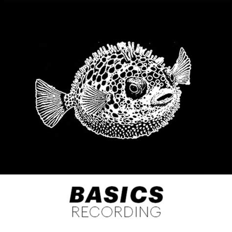 Image result for Computer Recording Basics