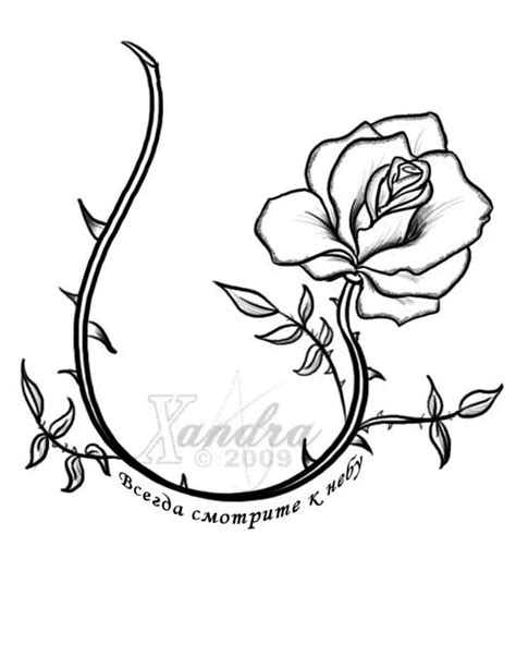 Rose Vine Drawing at PaintingValley.com | Explore collection of Rose ...