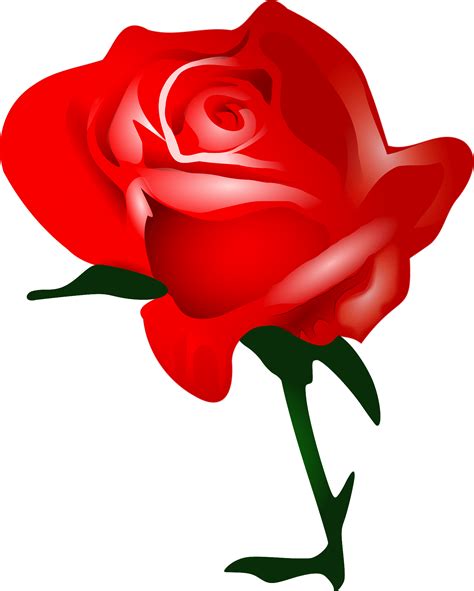 Free Red Roses, Download Free Red Roses png images, Free ClipArts on ...