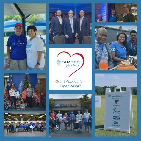 Simulation Tech Inc 的图像结果