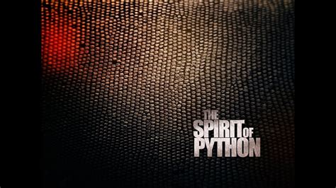 Spirit of Python Prayer 的图像结果