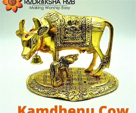 Kamdhenu Cow – Rudraksha Hub