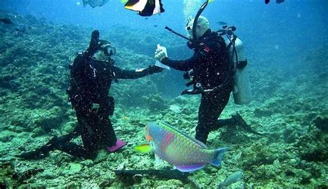 Scuba Diving In Goa 2026: An Activity You Must Consider Taking Part In