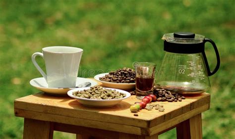 Process of Making Coffee 的图像结果