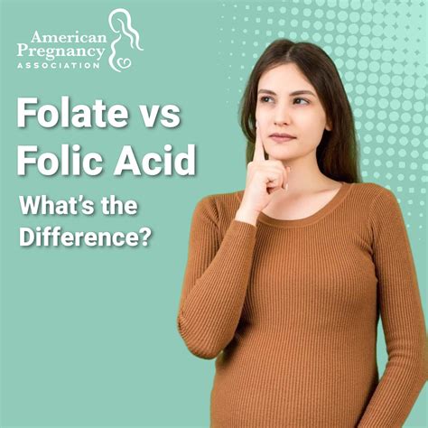 Folate vs Folic Acid | American Pregnancy Association