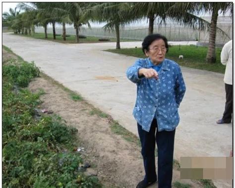 为啥？上海一阿姨吃了一口西瓜，决定报警！ - 侬好上海 - 新民网