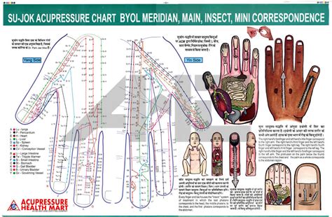 Acupressure, Acupuncture, Sujok, Five Element, Ear Charts (Set of 5)+ 5 ...