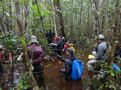 IBM Blockchain 的图像结果