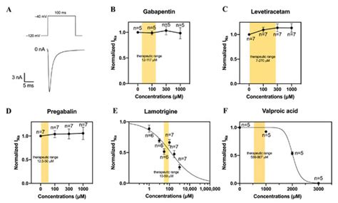 The Anti-Epileptic Drugs Lamotrigine and Valproic Acid Reduce the ...