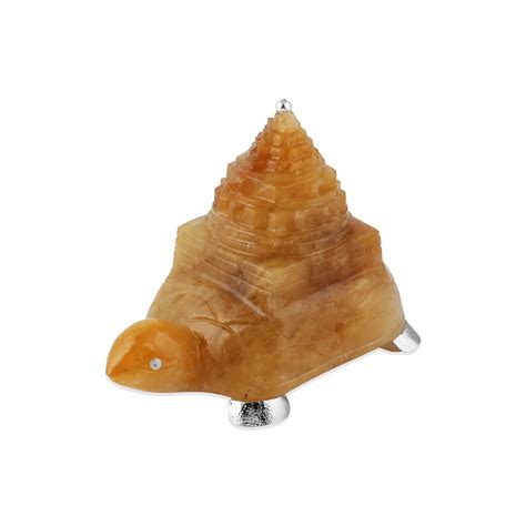 shreeyantra on turtle – swatindesigns