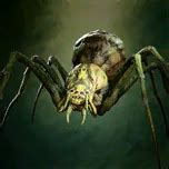 Conjured Spider (Shooting Spider Companion) - bg3.wiki