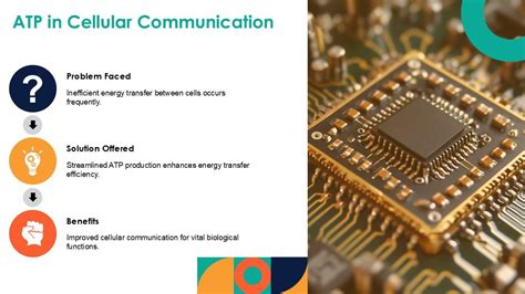 Rezultat imagine pentru ATP Process