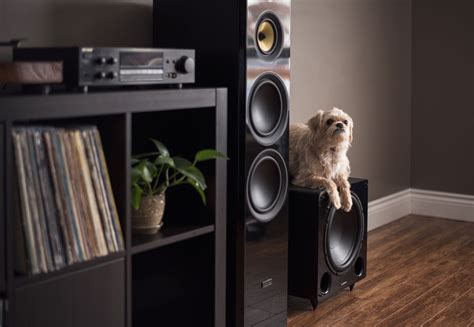 What Frequency Should I Set My Subwoofer | Audiolover