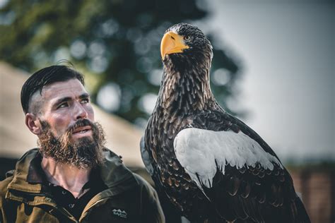 Stellers Sea Eagle Falconry