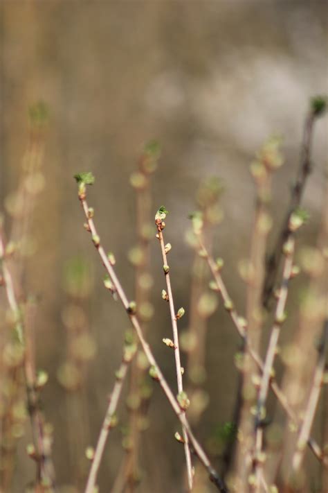Image result for Fresh Spring Weather