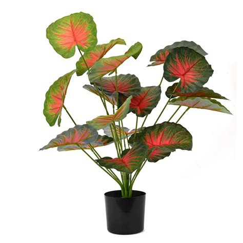 Buy Tropicana Fairy Taro Artificial Potted Plant (Green & Red) Online ...