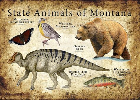 Montana Names For Dogs at Marcellus Meyers blog