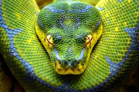 Image result for Blue Color Relaxation