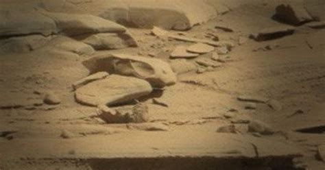 Image result for Alien Skull On Mars