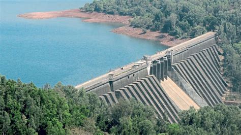 राज्यातील धरणे निम्म्याहून अधिक भरली; जलाशयामध्ये ६७ टक्के पाणीसाठा | Sakal