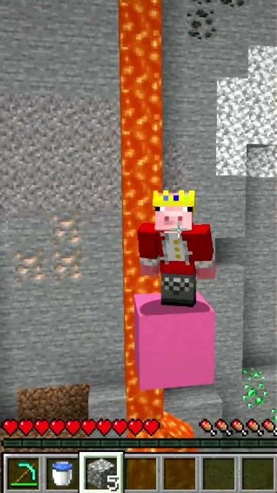 Image result for Technoblade Minecraft