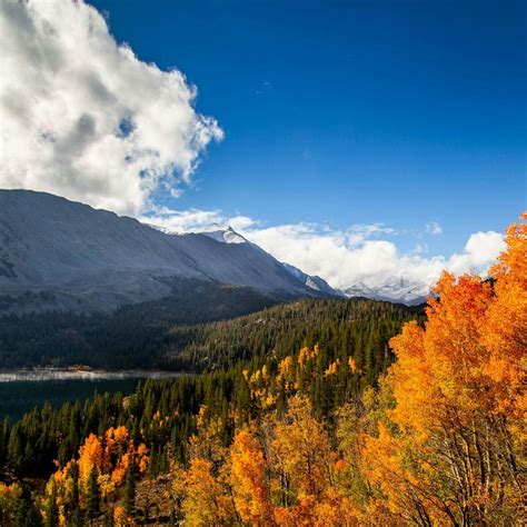 Explore Activities & Local Businesses Via Mammoth Lakes Map | Visit Mammoth