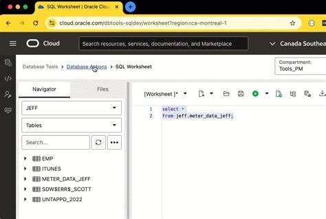 Image result for Oracle Object Browser with SQL Developer