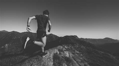 Running Wallpaper for PC 的图像结果