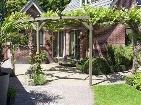 Image result for pergola druivenstruiken