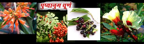 Buy Basic Ayurveda Pushyanug Churna (40 Gram) Online at Low Prices in ...
