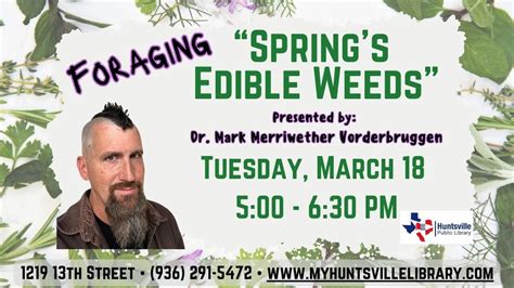 Foraging: Springs Edible Weeds, 1219 13th St, Huntsville, TX, United ...