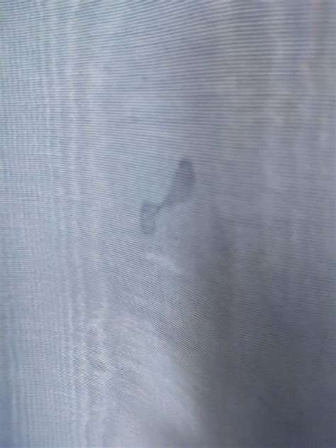 THE BILTMORE LOS ANGELES - Hotel Reviews, Photos, Rate Comparison ...