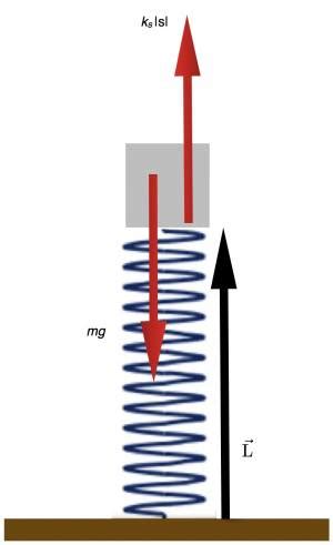 Spring Force Examples 的图像结果