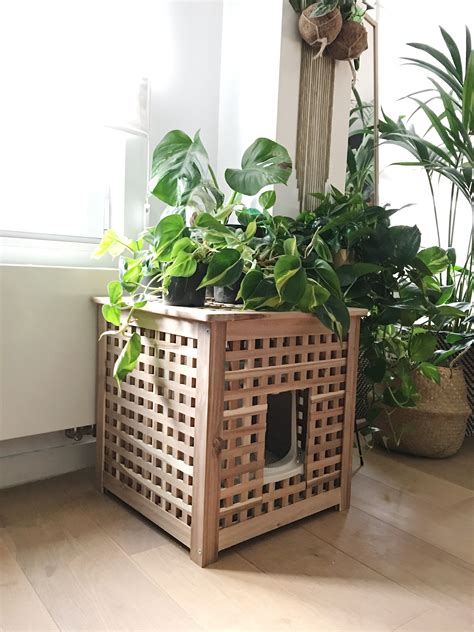 plant litter box