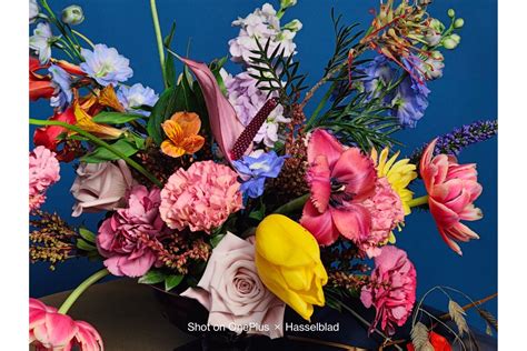 OnePlus 10 Pro Camera 的图像结果