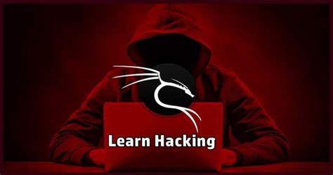 Image result for Kali Linux Hacking