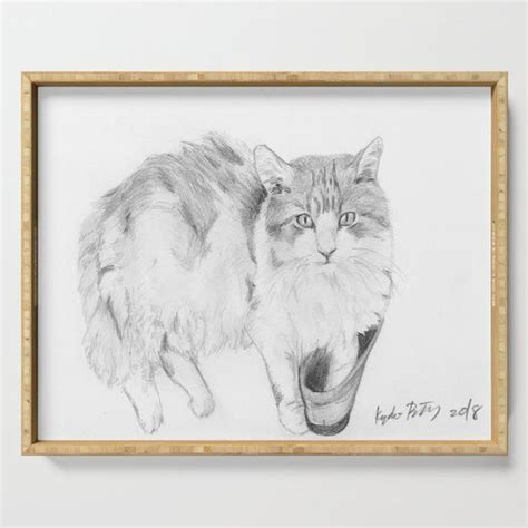 Realistic Cat Pencil Sketch Drawing