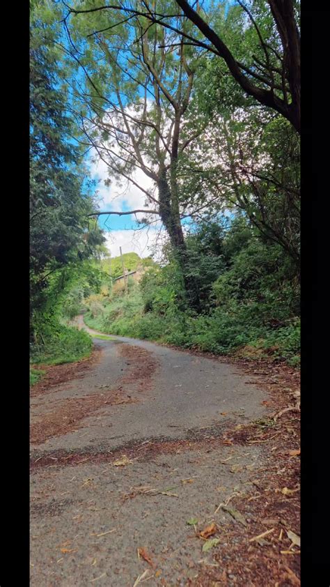 Esha Mae (@eshamae1) - Urlebird