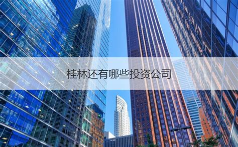 广西旅发桂林投资有限公司招聘- 2023年招聘信息-桂林人才网