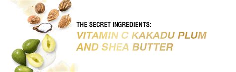 Coccoon Repairing Night Cream- Vitamin C, Intense Repair, Glowing Skin ...