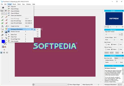 Image result for Vertus Fluid Mask Tutorial